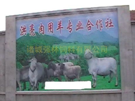 肉用羊專(zhuān)業(yè)合作社